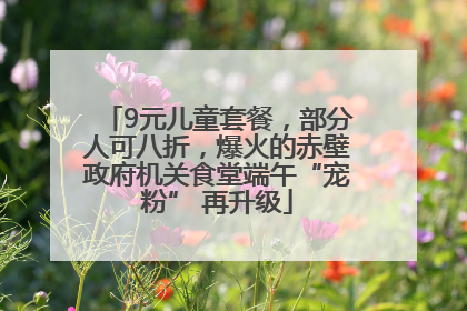 9元儿童套餐，部分人可八折，爆火的赤壁政府机关食堂端午“宠粉” 再升级
