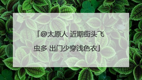 @太原人 近期街头飞虫多 出门少穿浅色衣