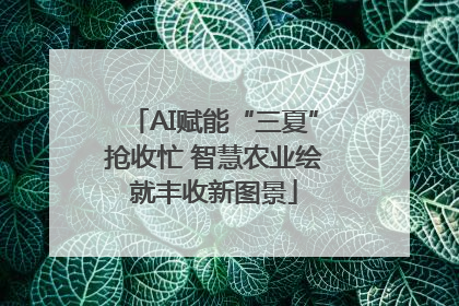 AI赋能“三夏”抢收忙 智慧农业绘就丰收新图景