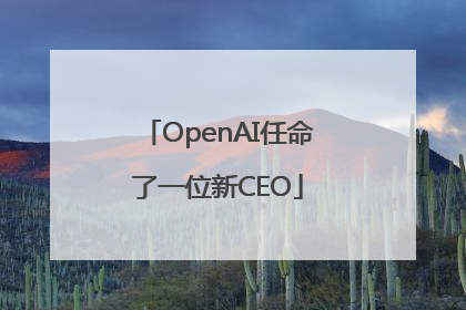 OpenAI任命了一位新CEO