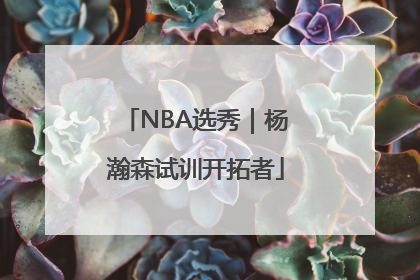 NBA选秀｜杨瀚森试训开拓者